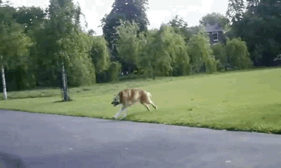jumpgif
